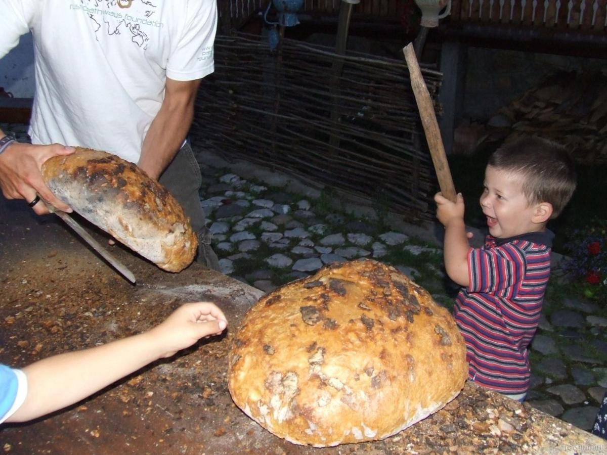 Cabană Pensiunea Aranyos