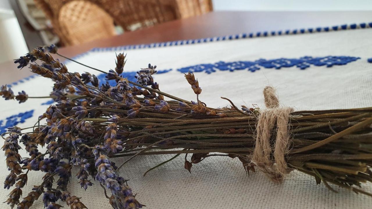 Pensiunea Aranyos Cabană